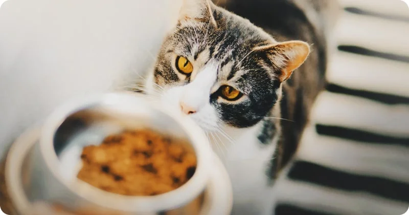 Профилактика заболеваний глаз