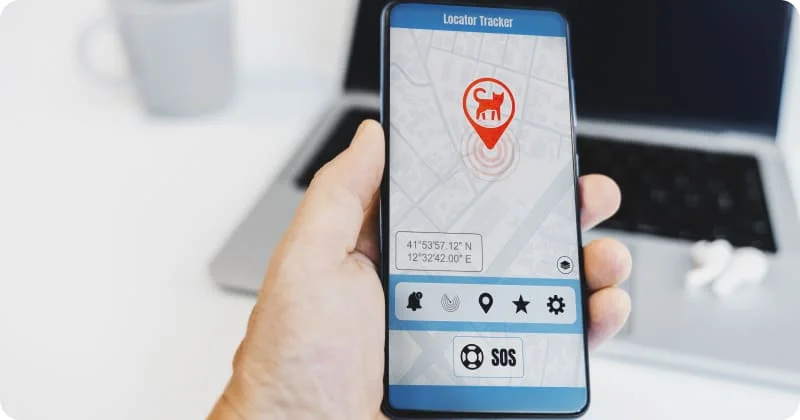 Ошейник с GPS-трекером