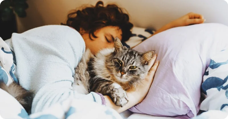 Почему кошка будит по утрам?