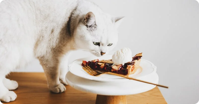 Список опасных продуктов