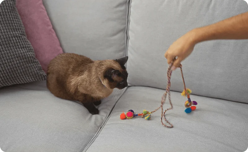 Игрушки для кошки из веревок