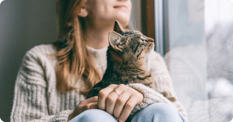 Кошки лечат людей
