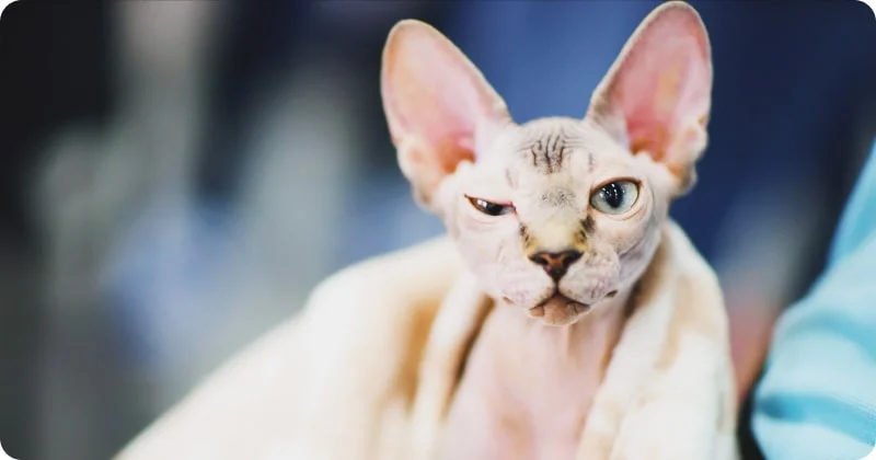 Диагностика проблемы