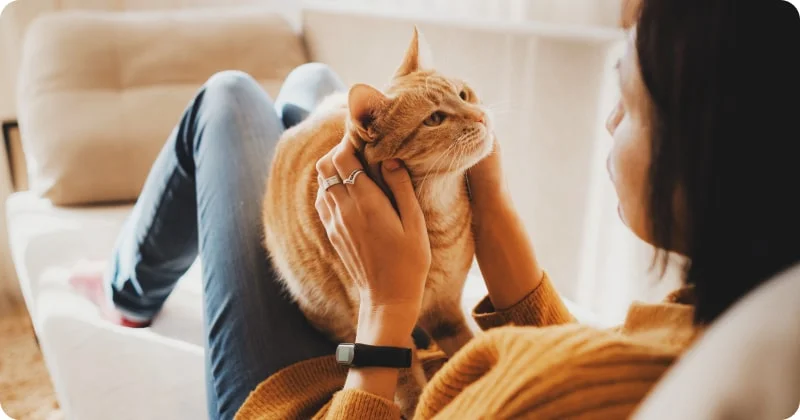 Обмен запахами