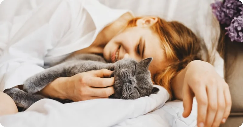 Сны у кошек и людей