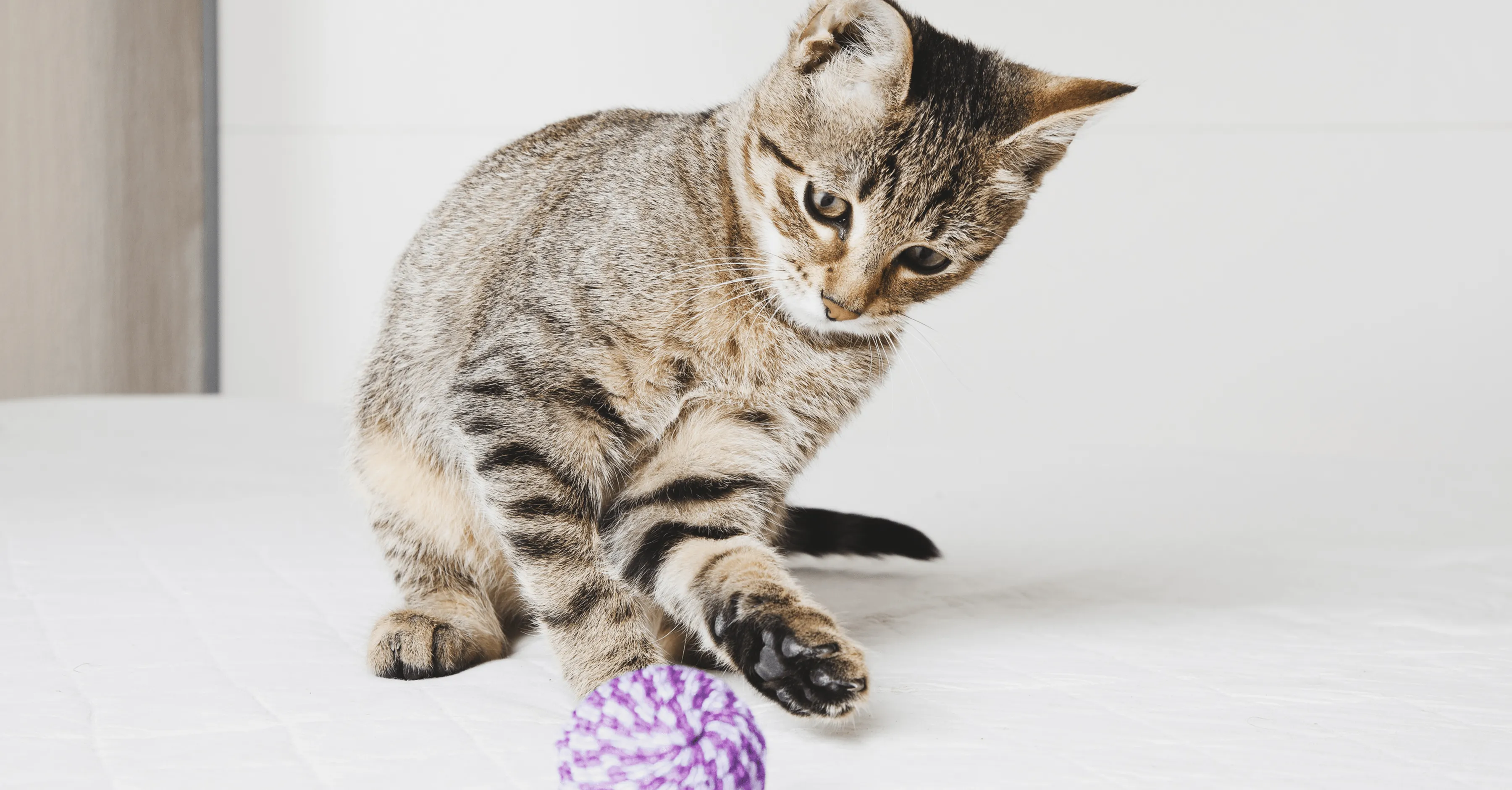 Самостоятельная игра