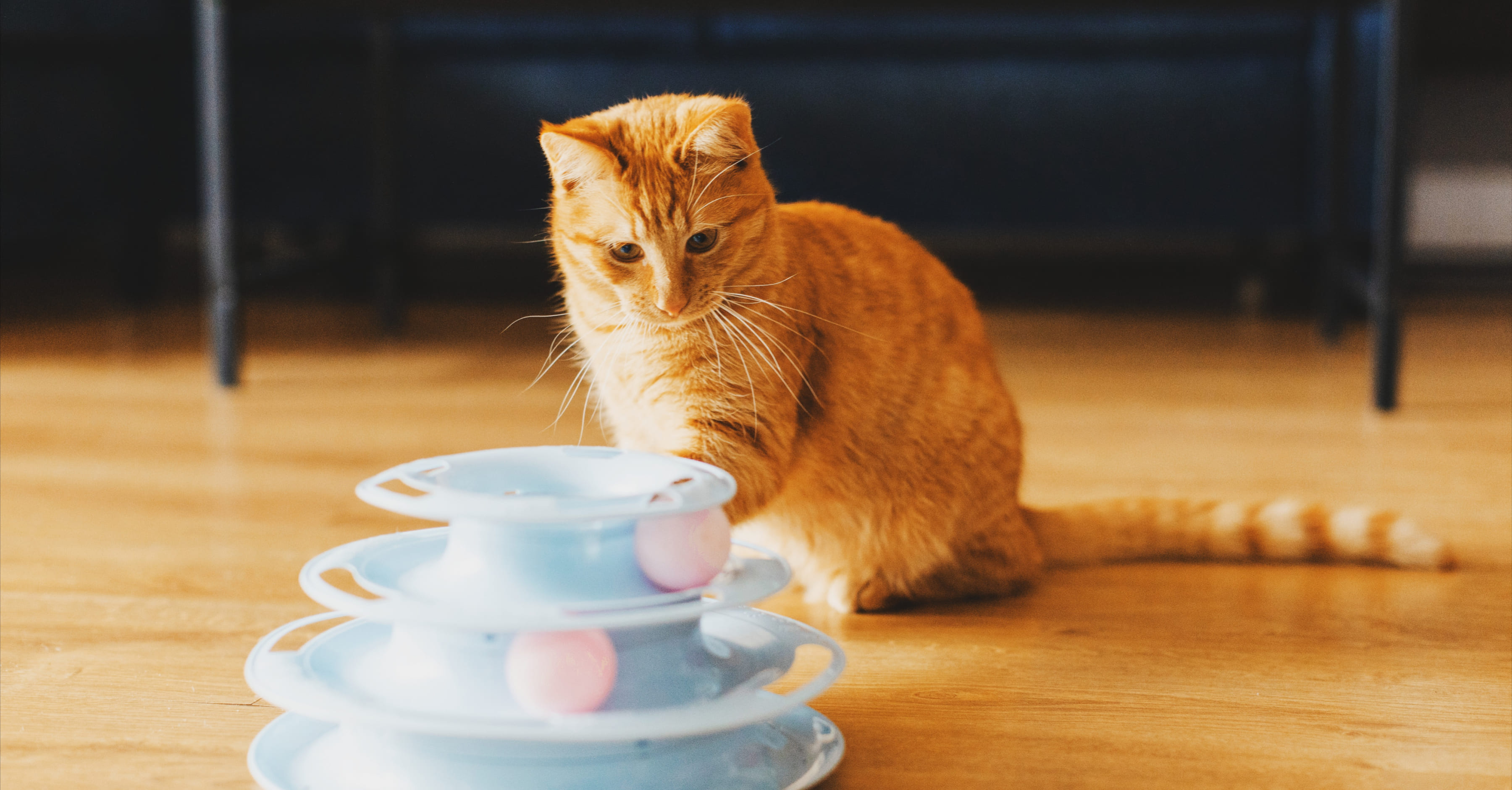 Игрушки для кошки