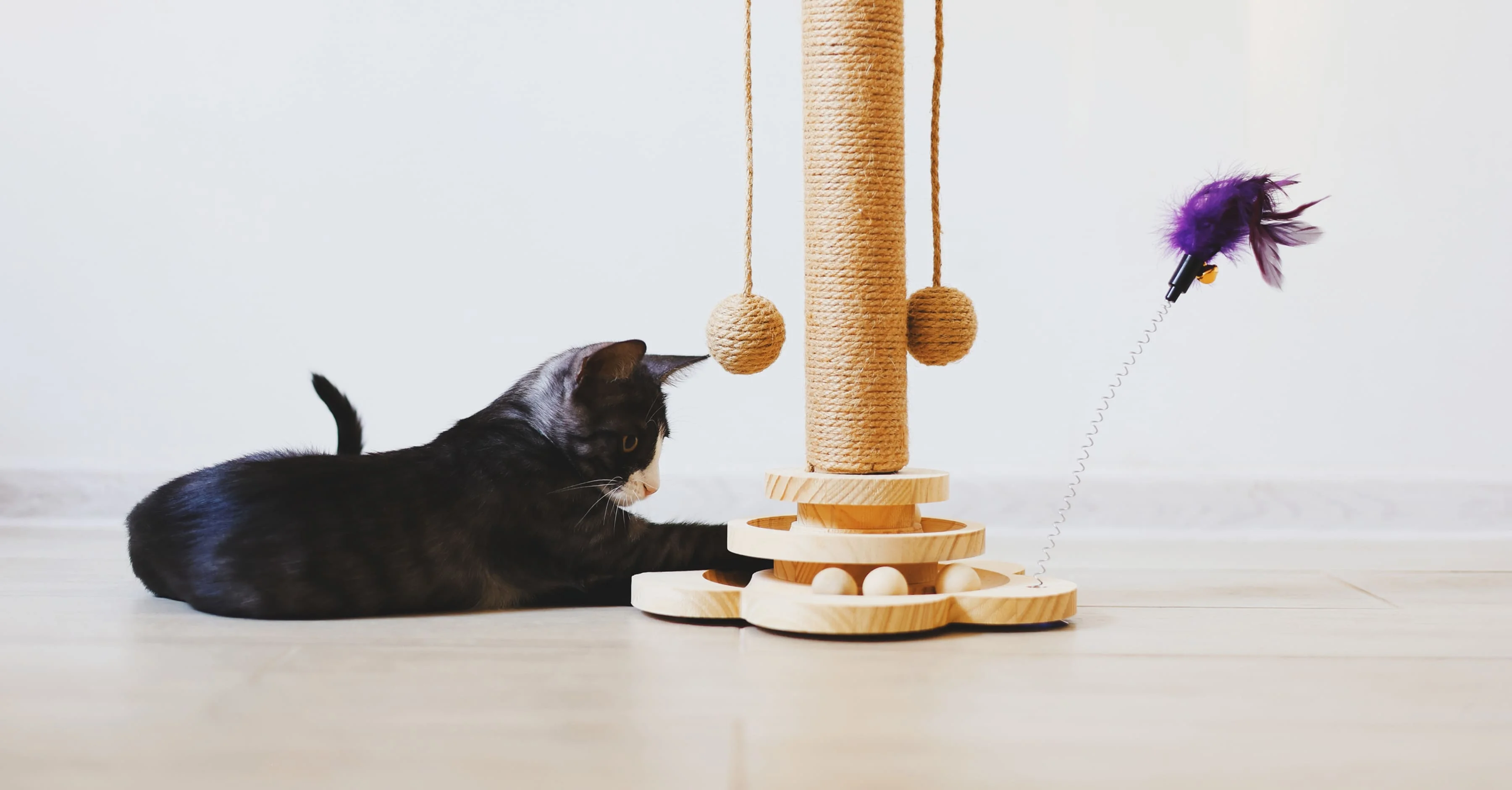 Развлечение для кошки