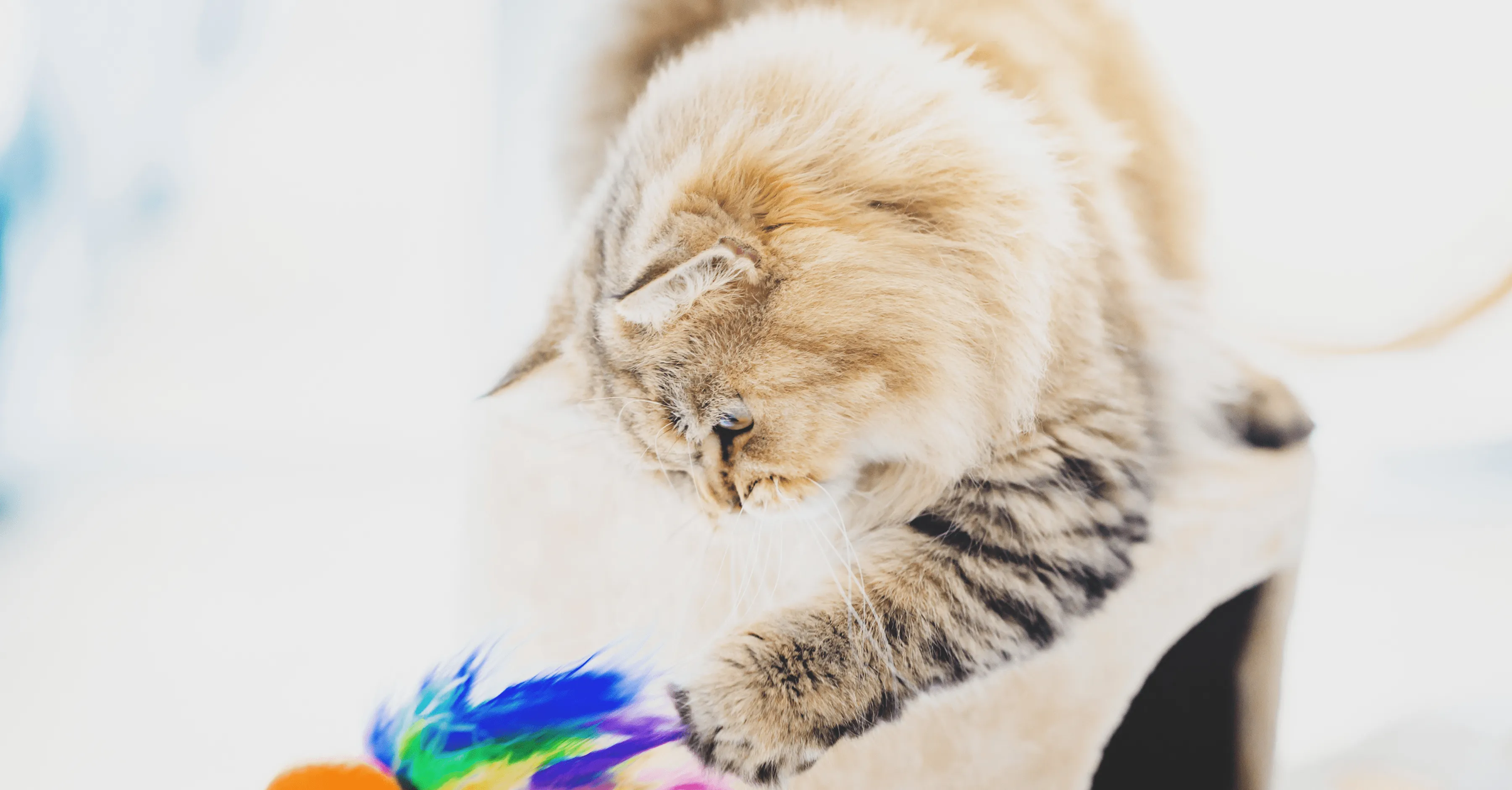 Типы игрушек