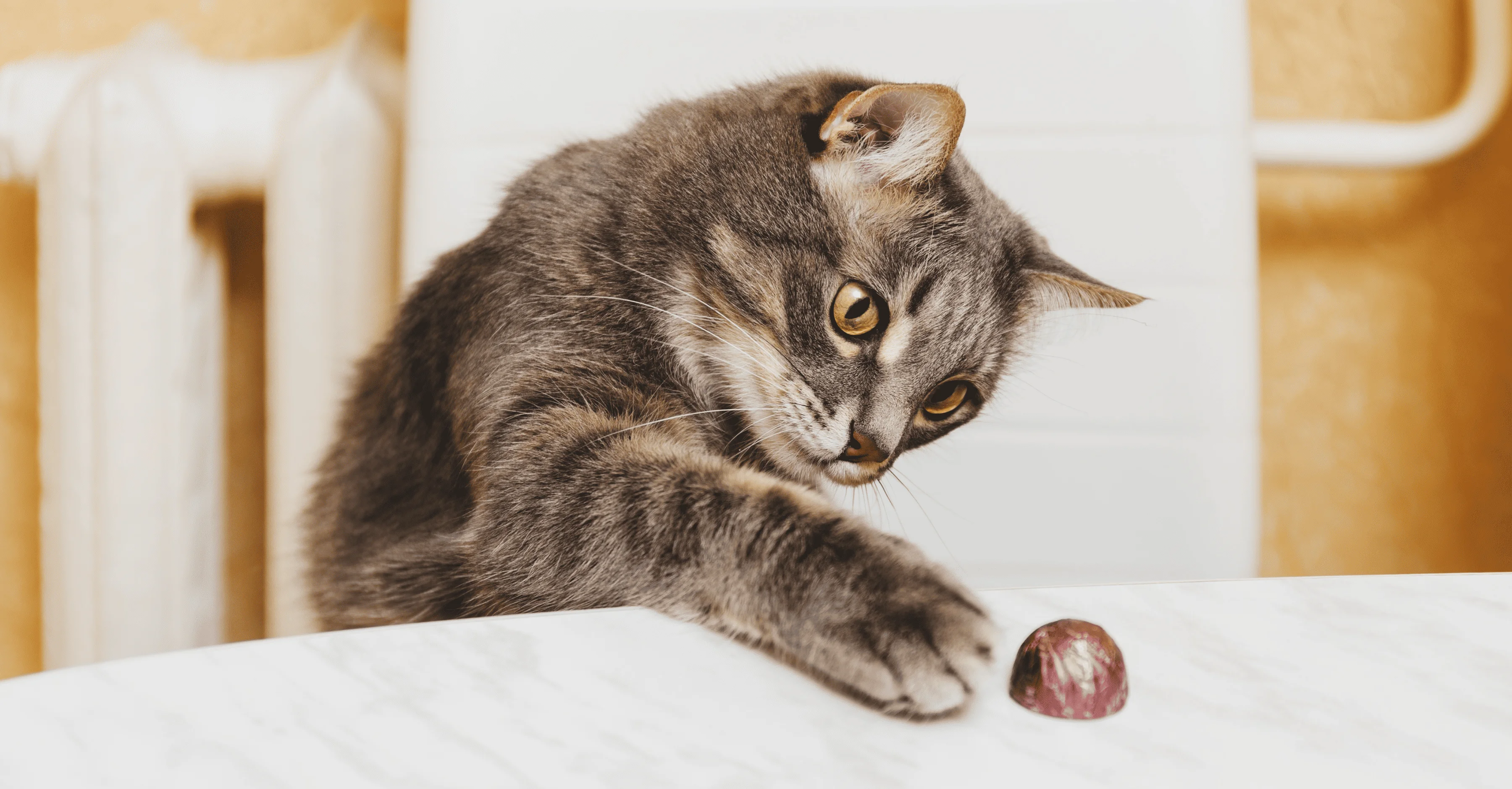 Игра с конфетой