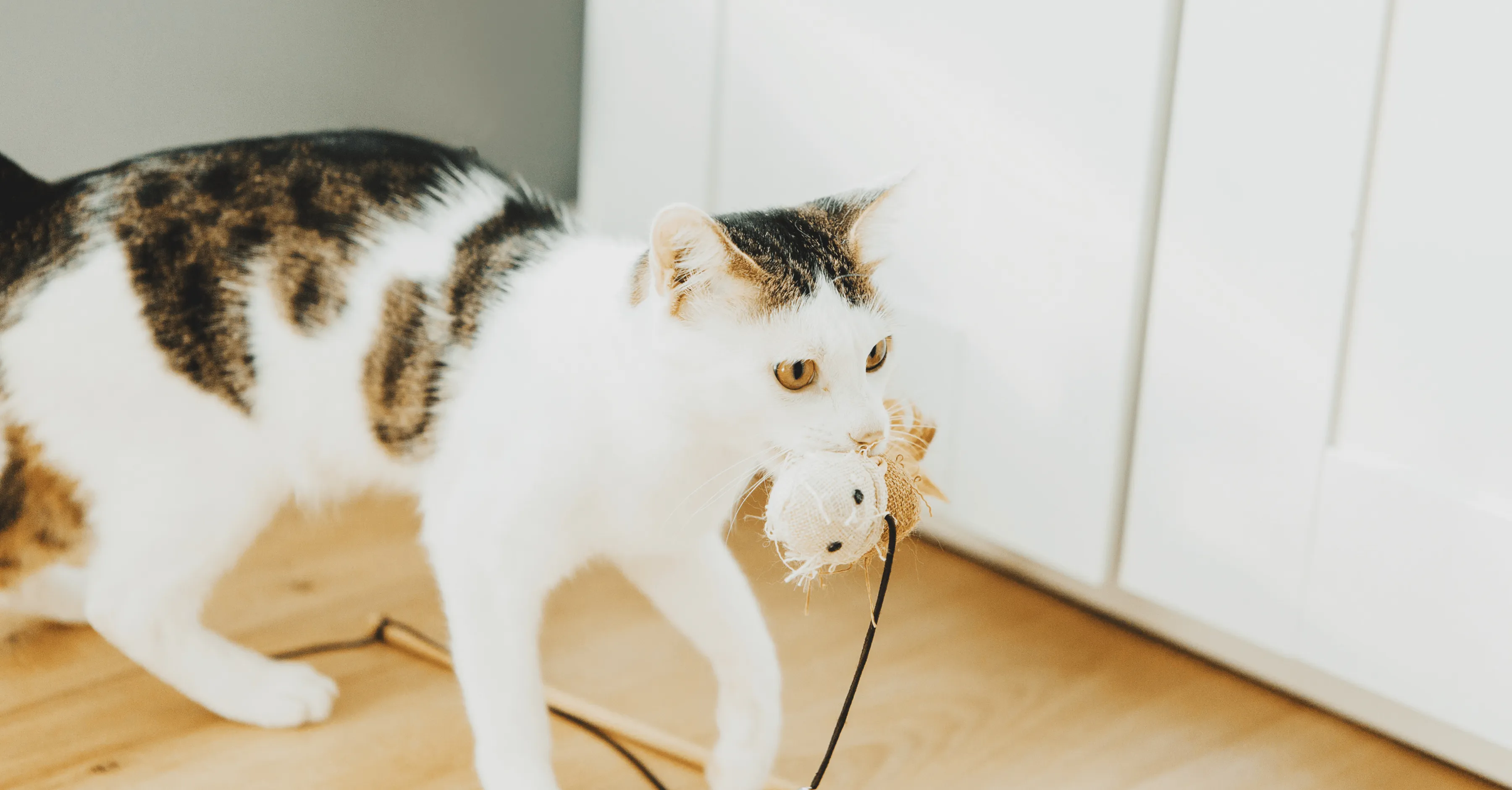 Имитация охоты