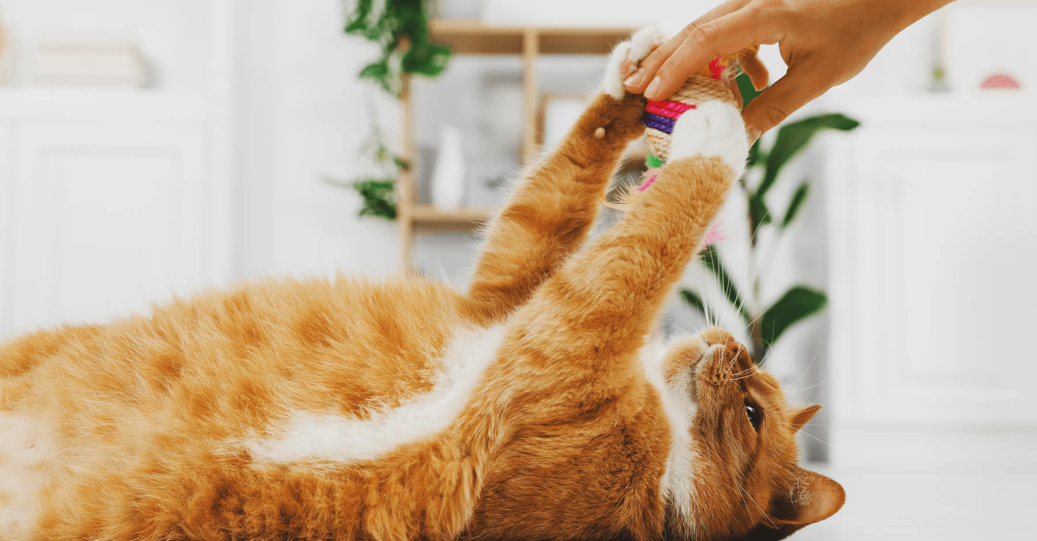 Игры для разных возрастов