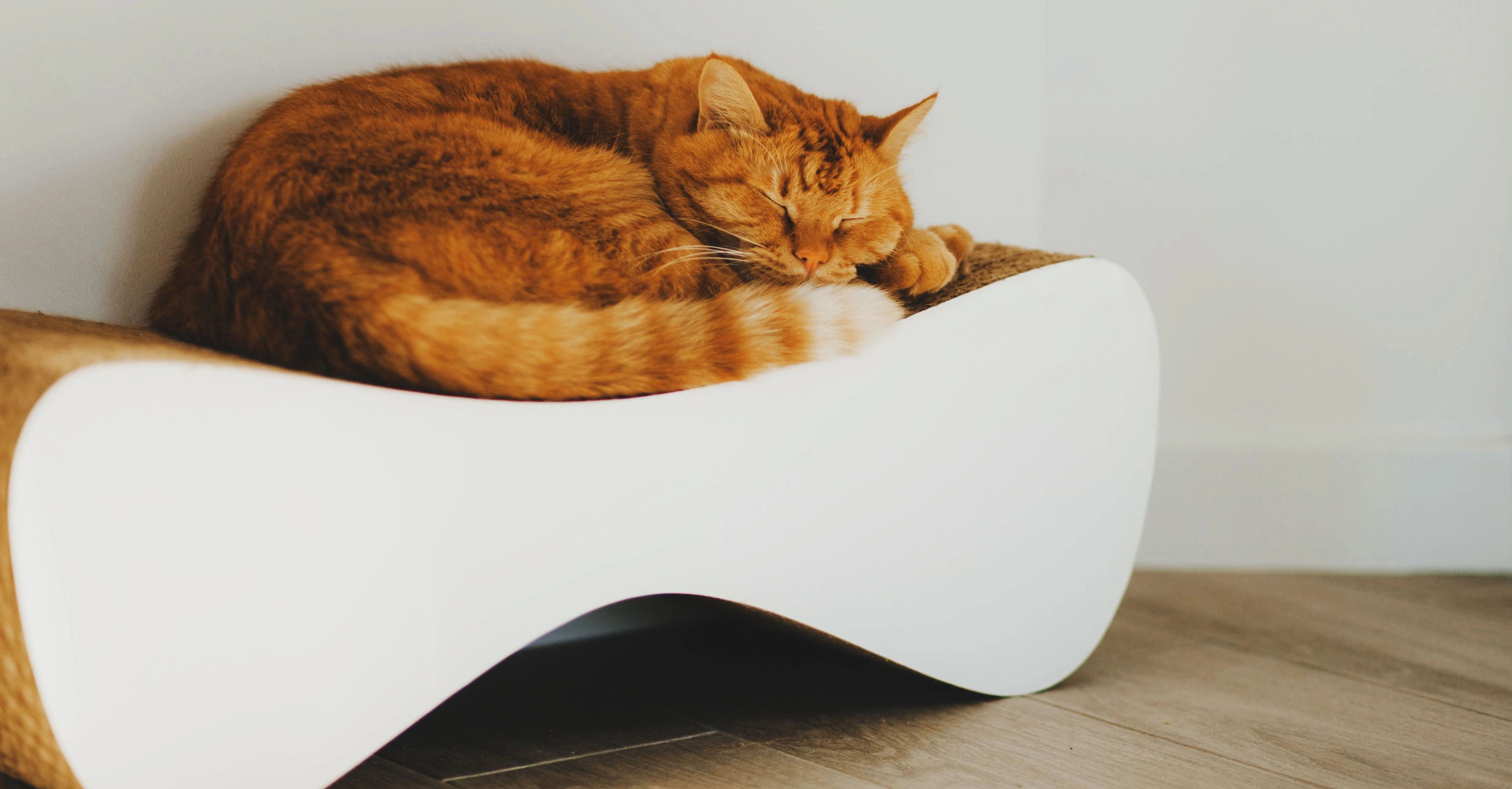 Место для уединения кошки