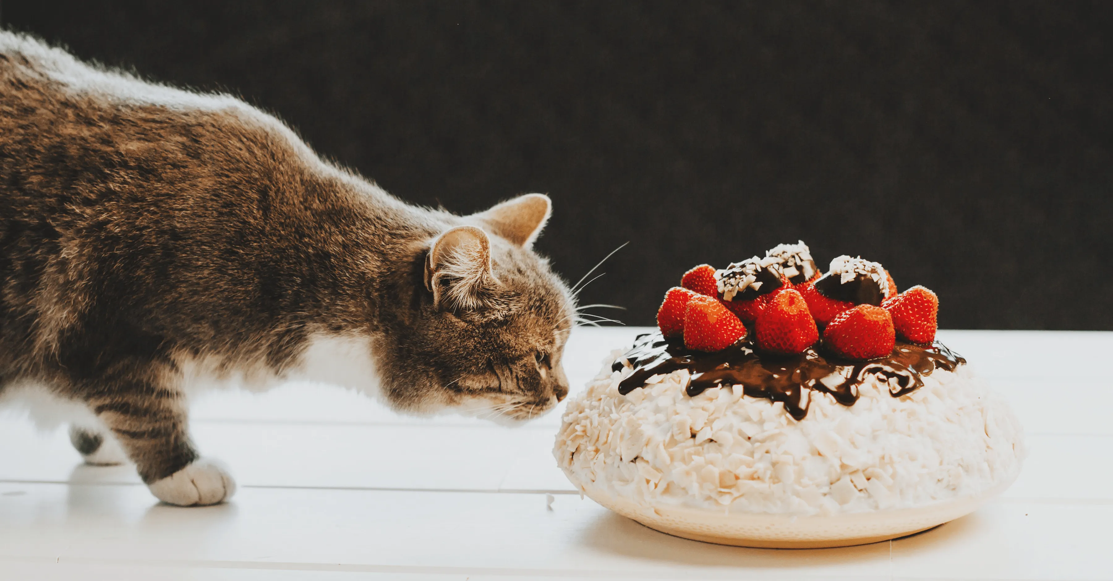 Опасные продукты для кошки