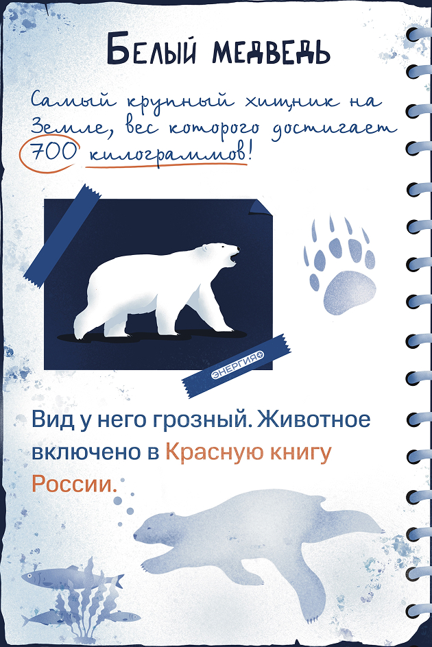 Белый медведь