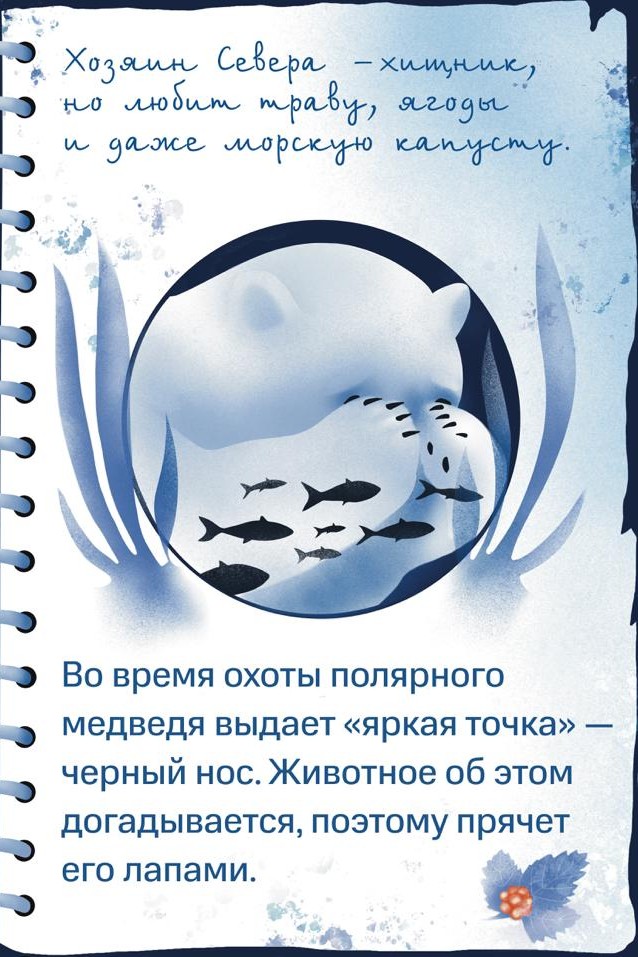 Белый медведь