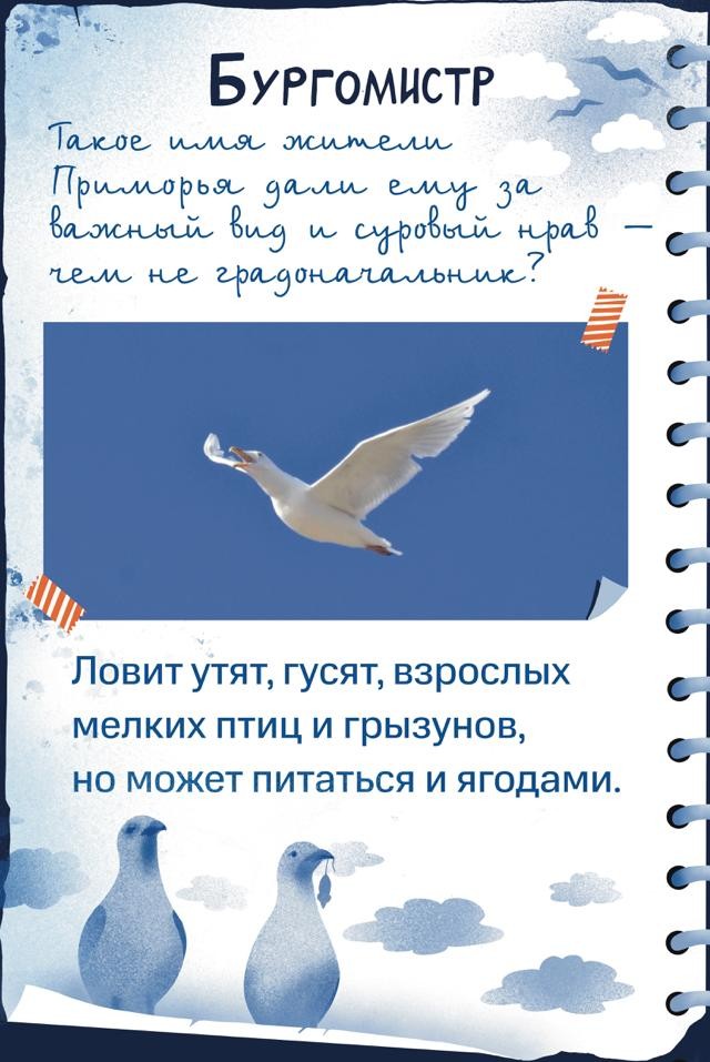 Бургомистр