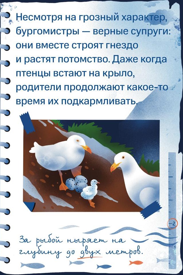 Бургомистр