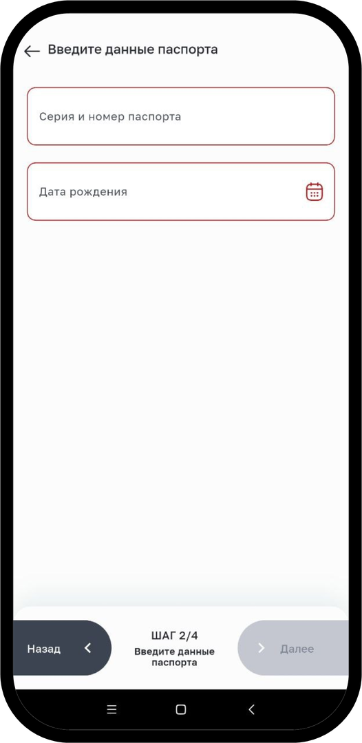 Начните авторизацию: укажите паспортные данные и дату рождения