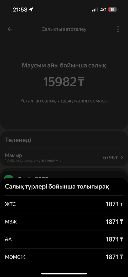 Және салық түрі бойынша төлем мәліметтері