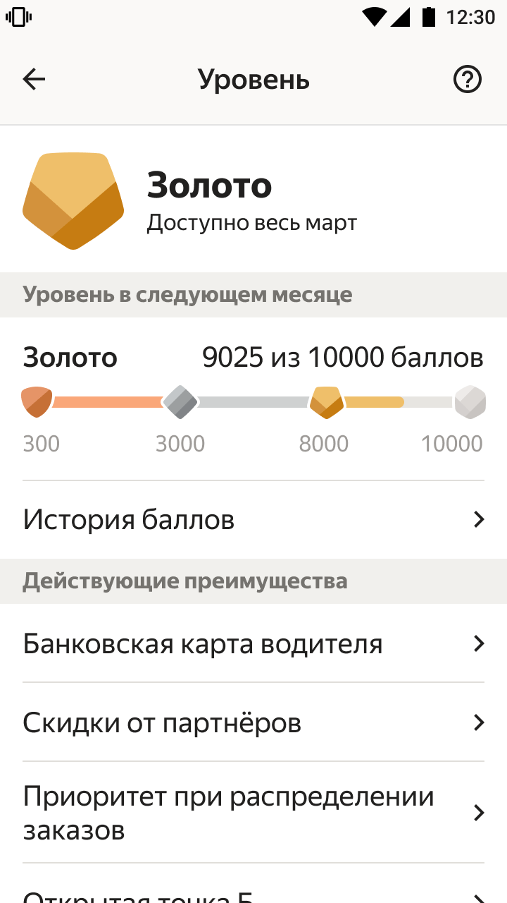 Так выглядит основной экран программы в Яндекс Про.