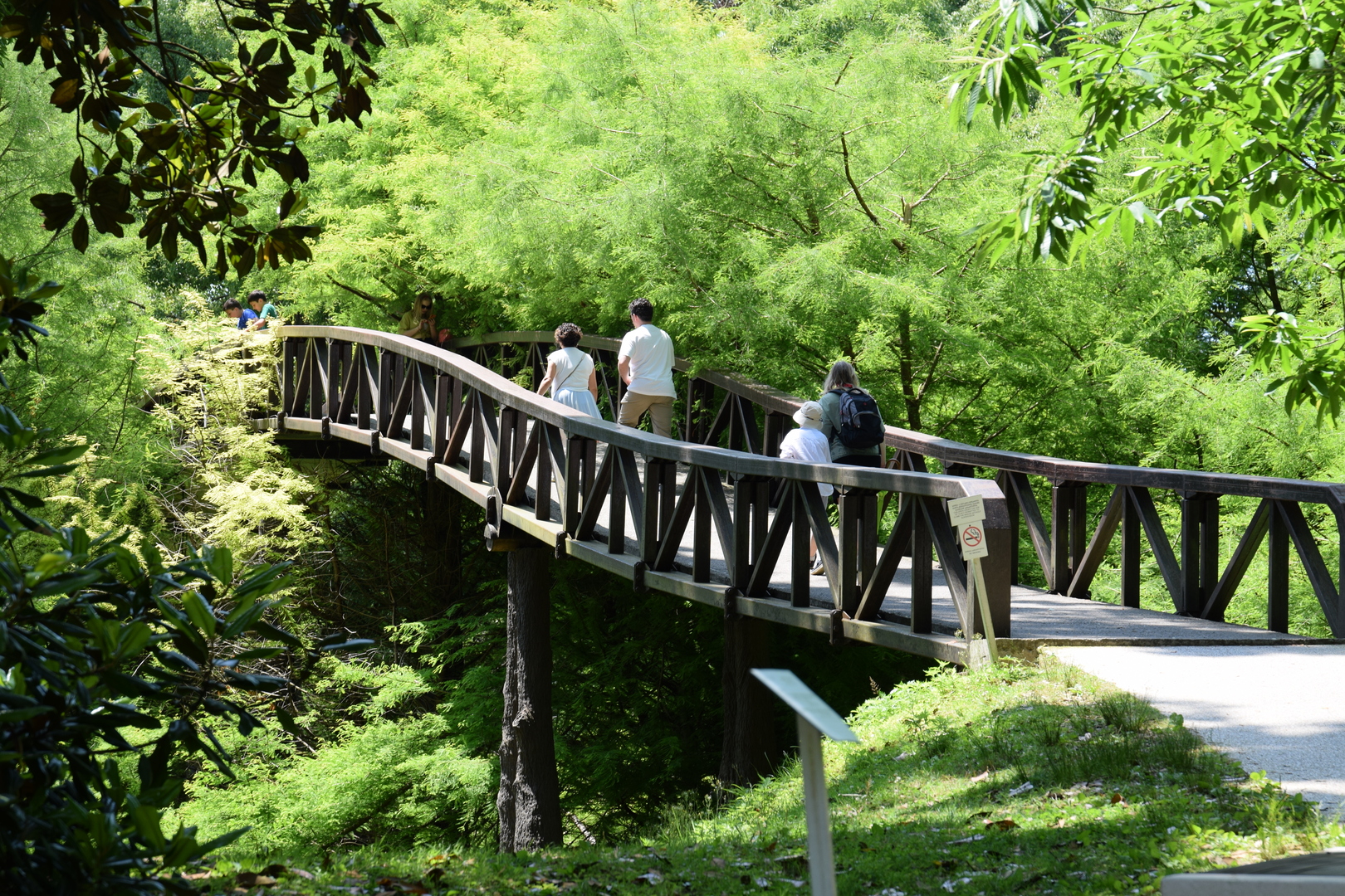 beauty_bridge