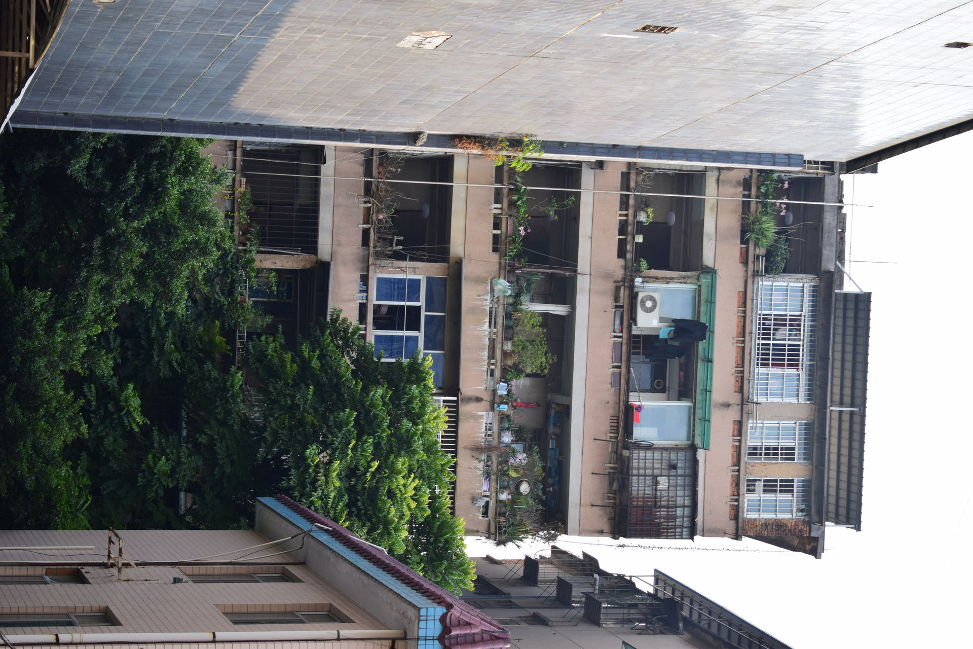building.JPG