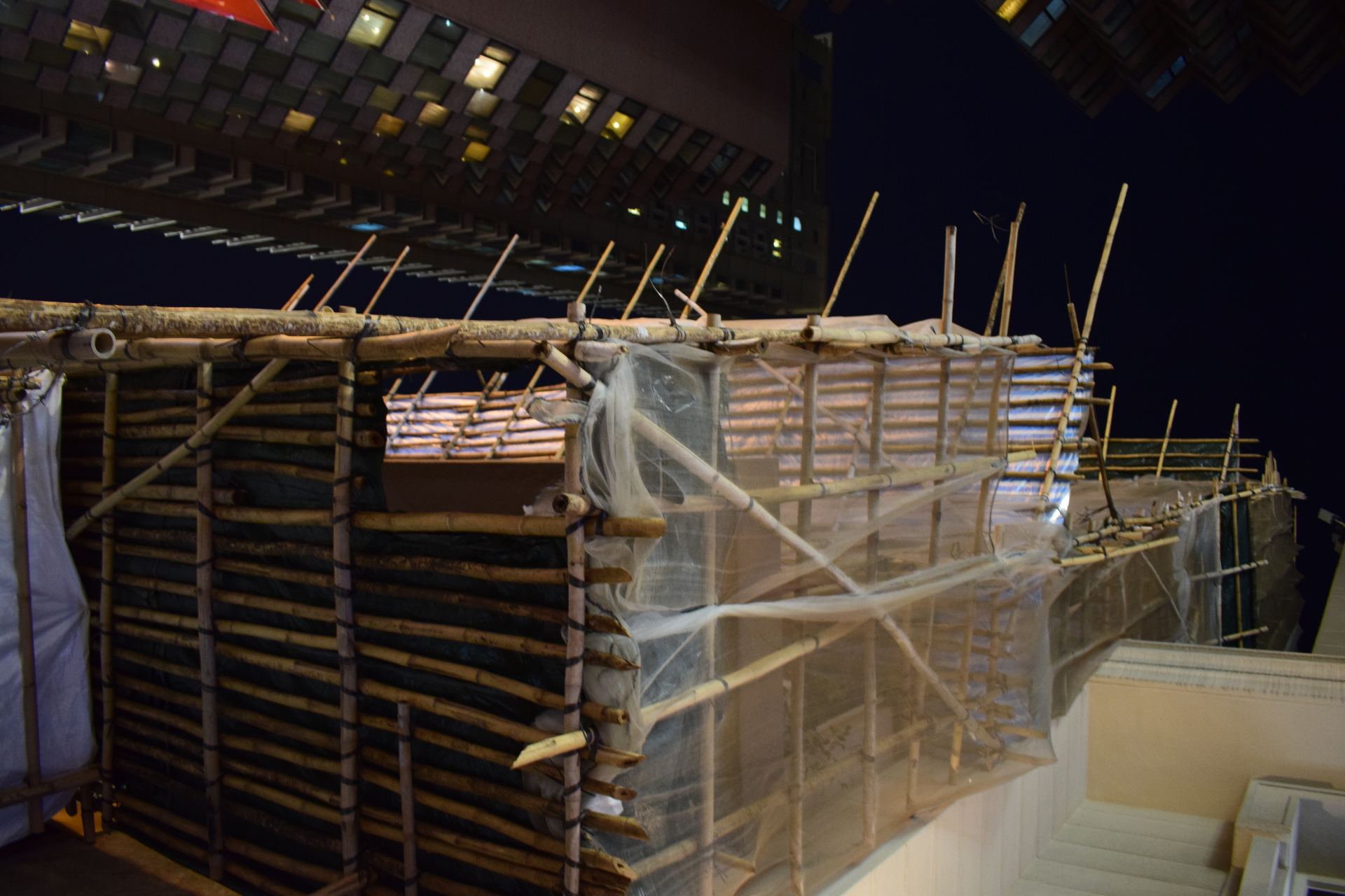 bamboo_plane