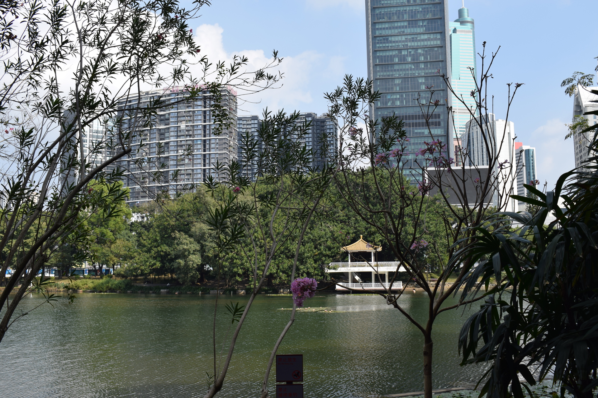 building_on_lake_in_park_near_kmall.JPG
