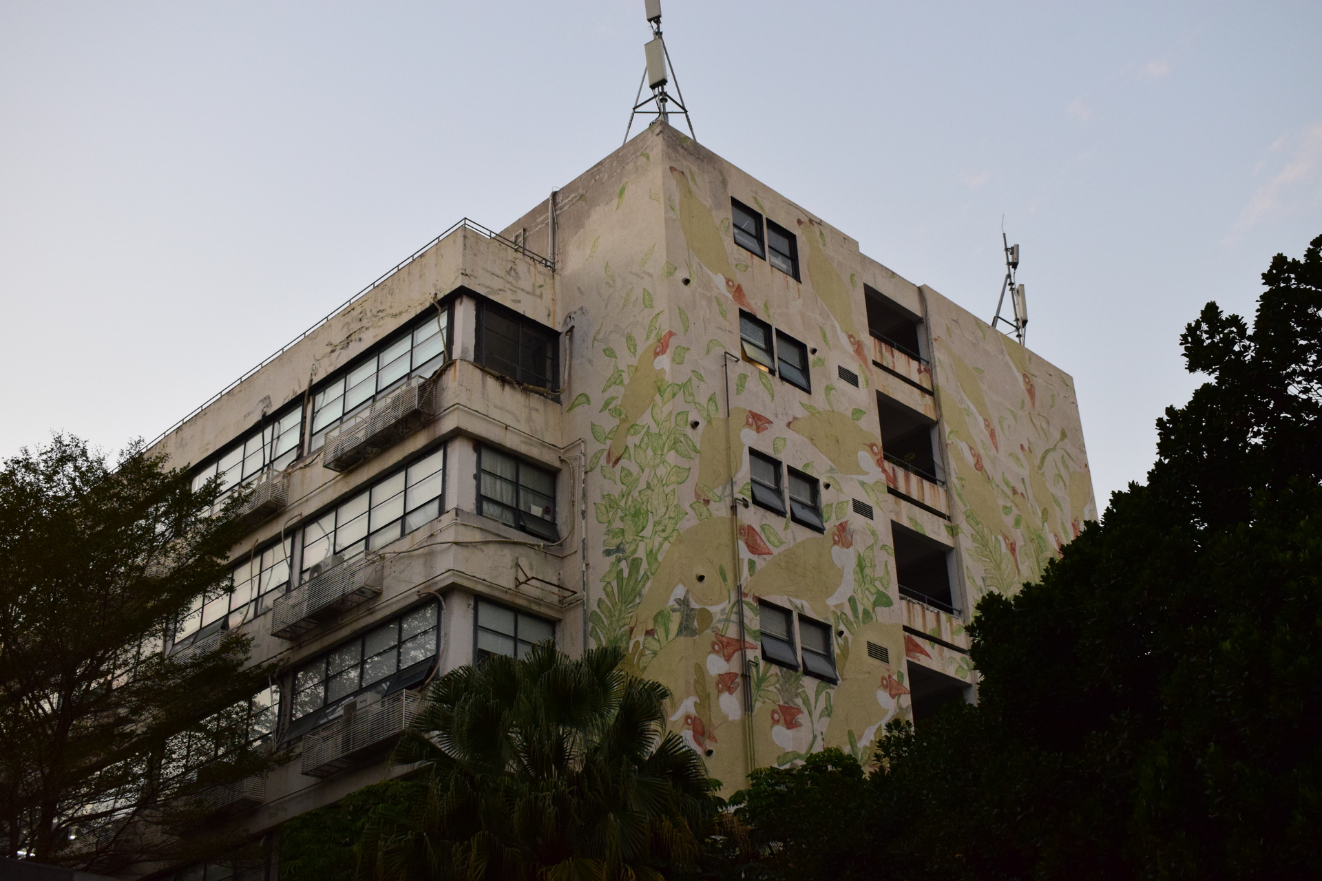 flowers_building_in_art_space.JPG