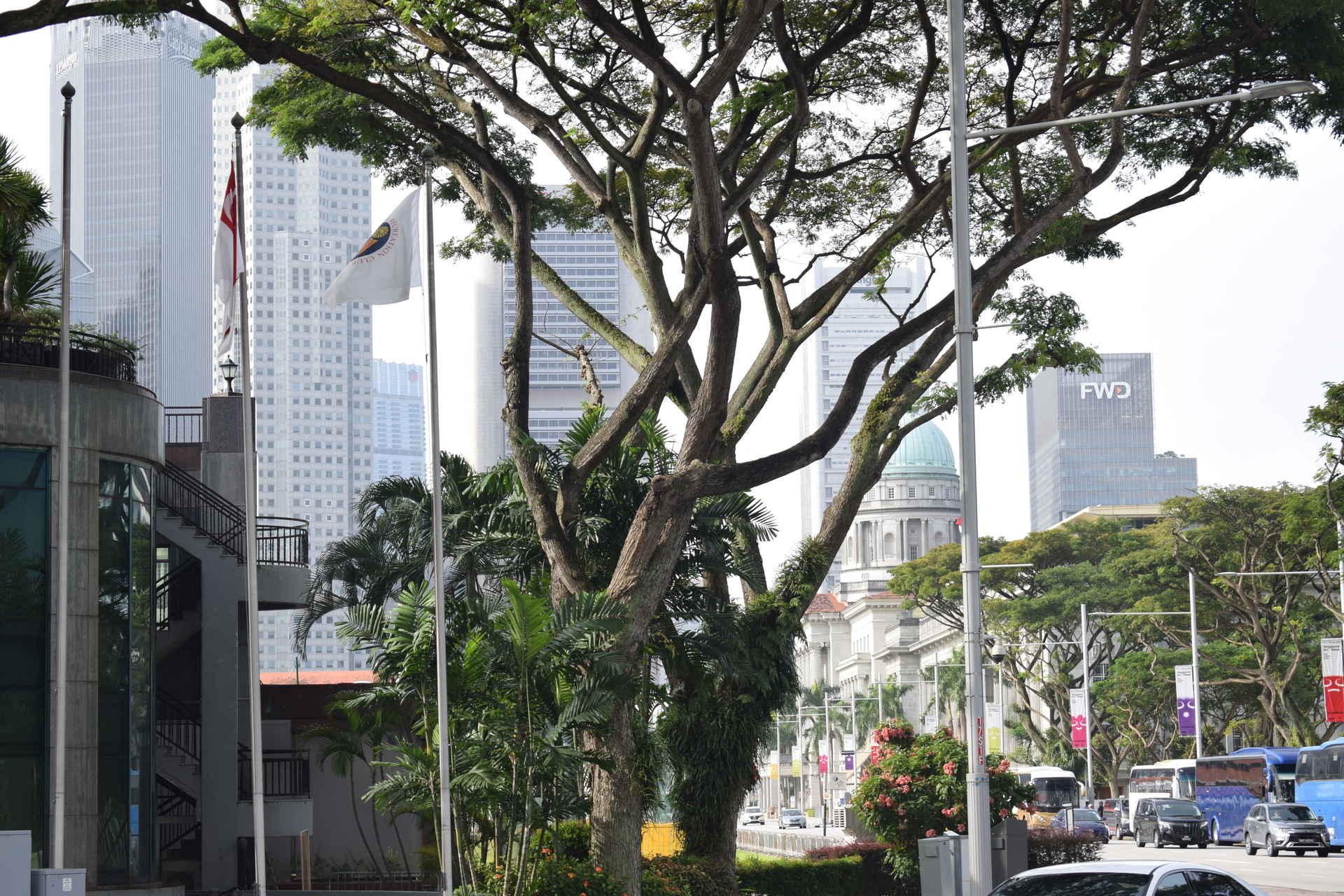 sunning_singapore