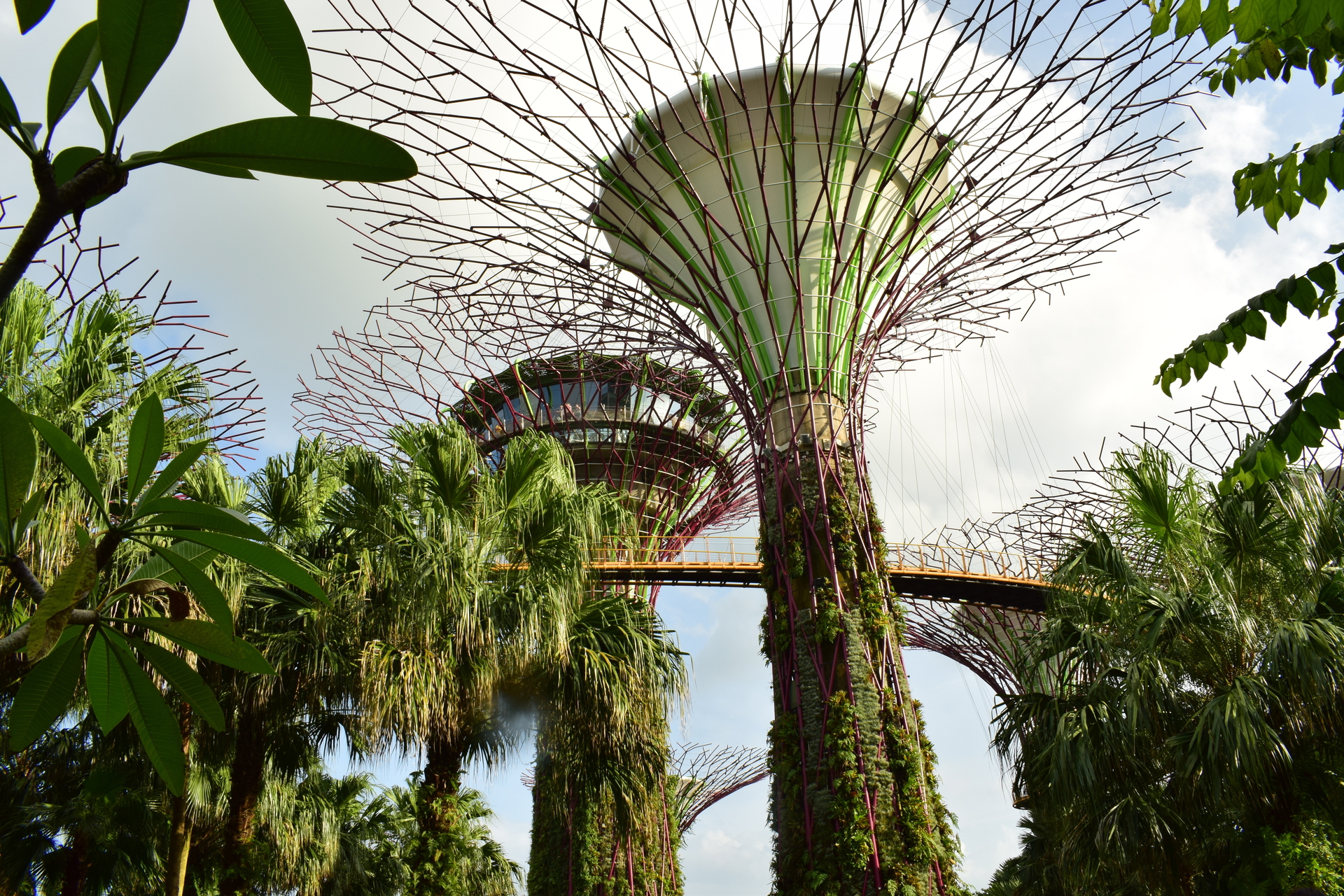Сингапур (Singapore)