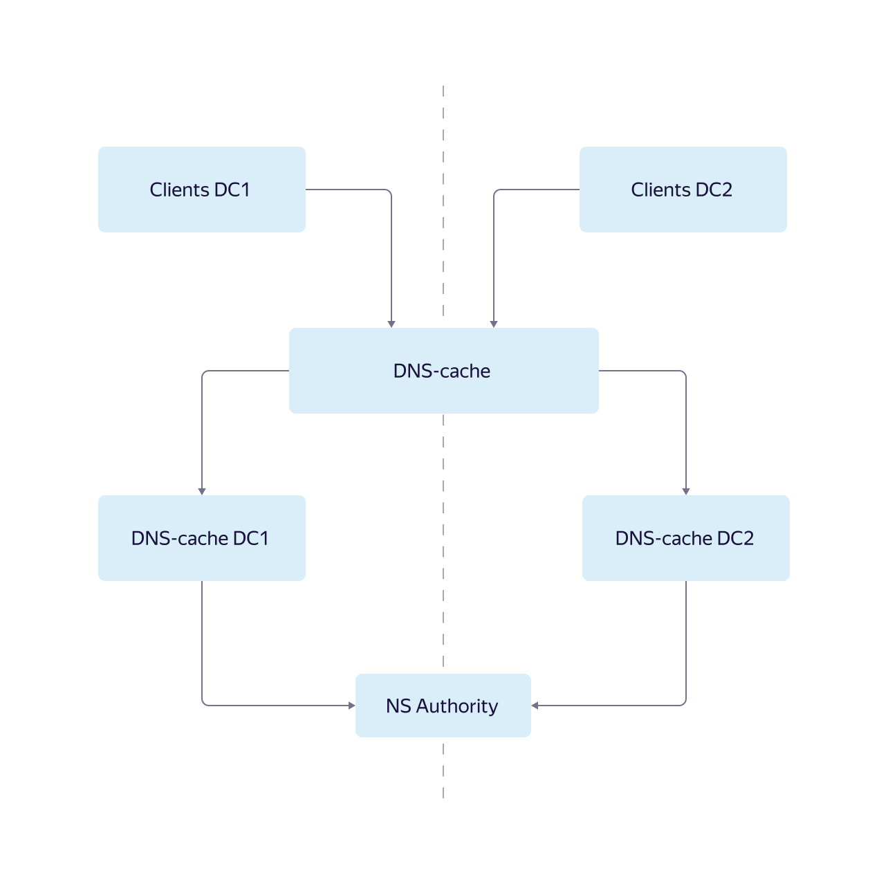 DNS-1