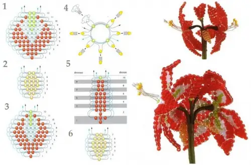 Схема плетения амариллиса из бисера