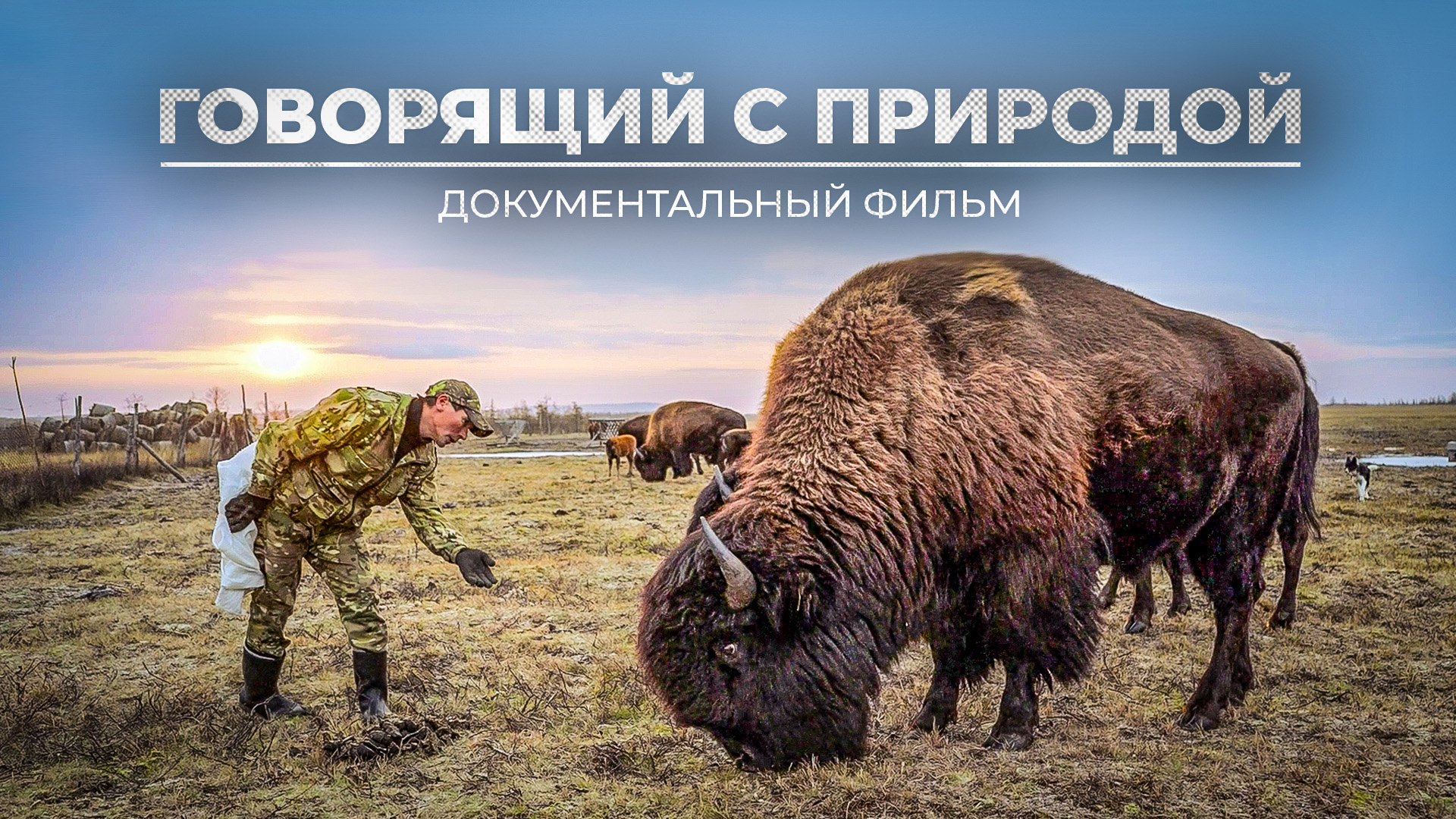 Документальное кино