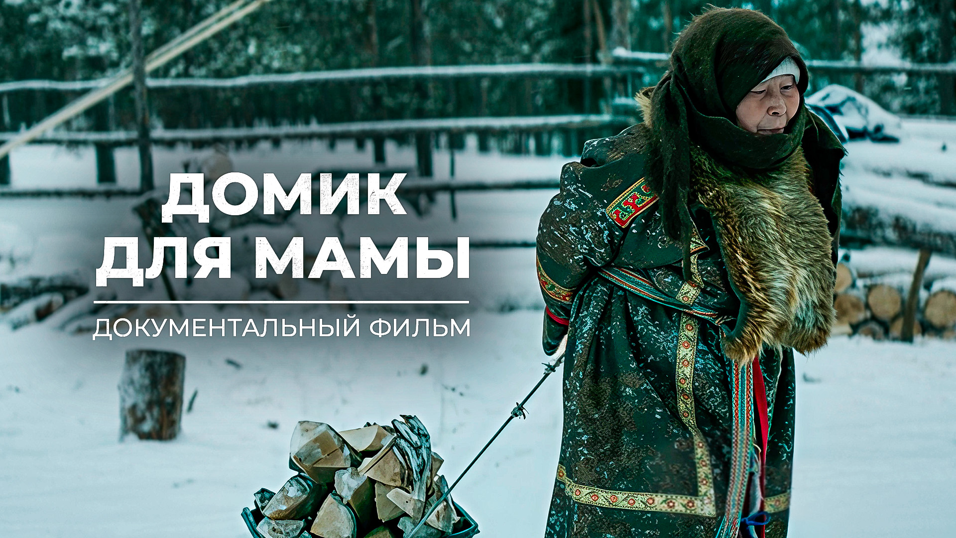 Документальное кино