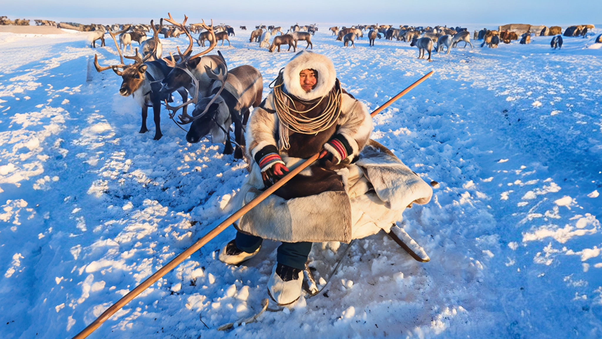 Ясавэй. Кочевник XXI века