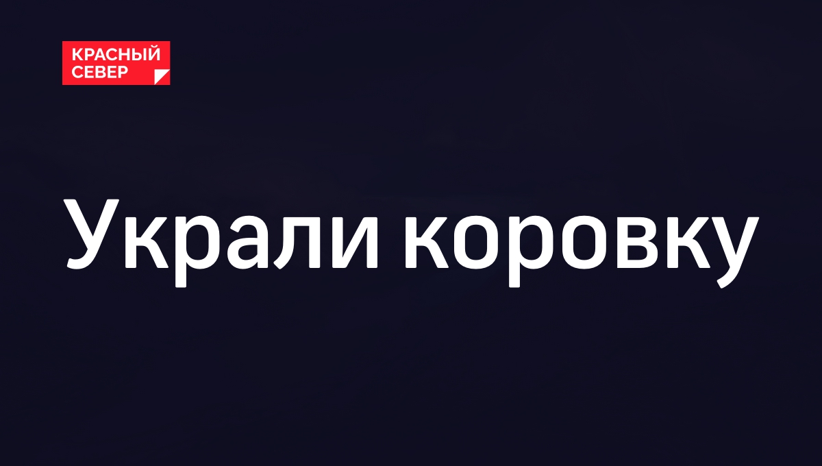 Украли коровку