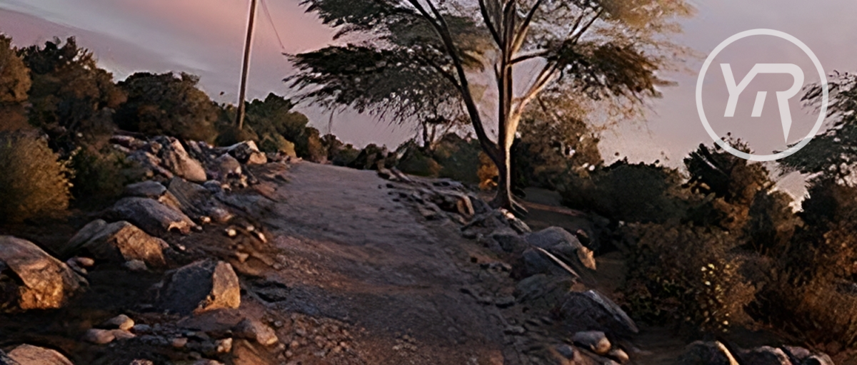 Yoklmn WRC 2024