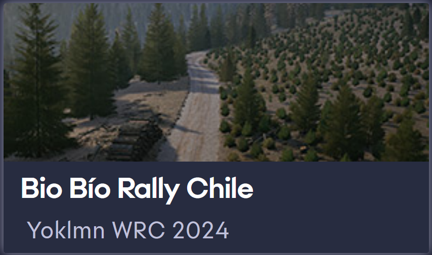 Yoklmn WRC 2024