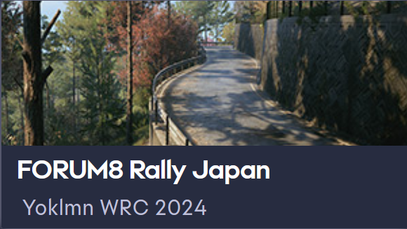 Yoklmn WRC 2024