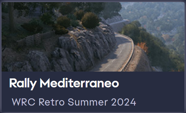 Yoklmn WRC Retro Summer 2024
