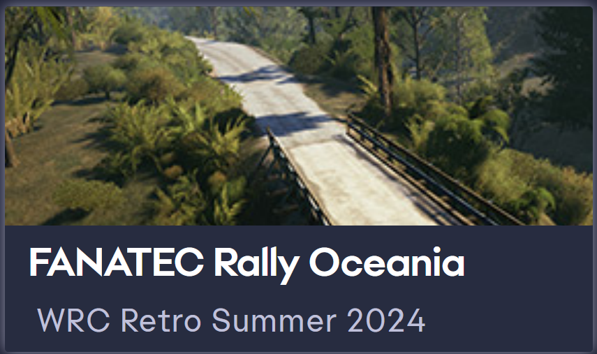 Yoklmn WRC Retro Summer 2024