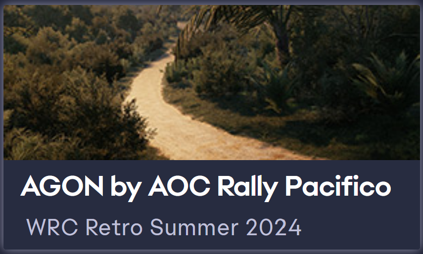 Yoklmn WRC Retro Summer 2024