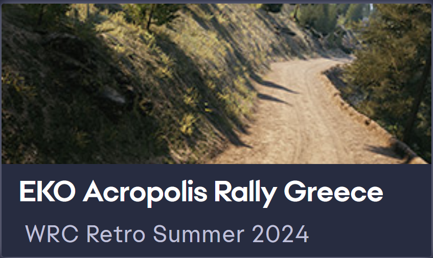 Yoklmn WRC Retro Summer 2024