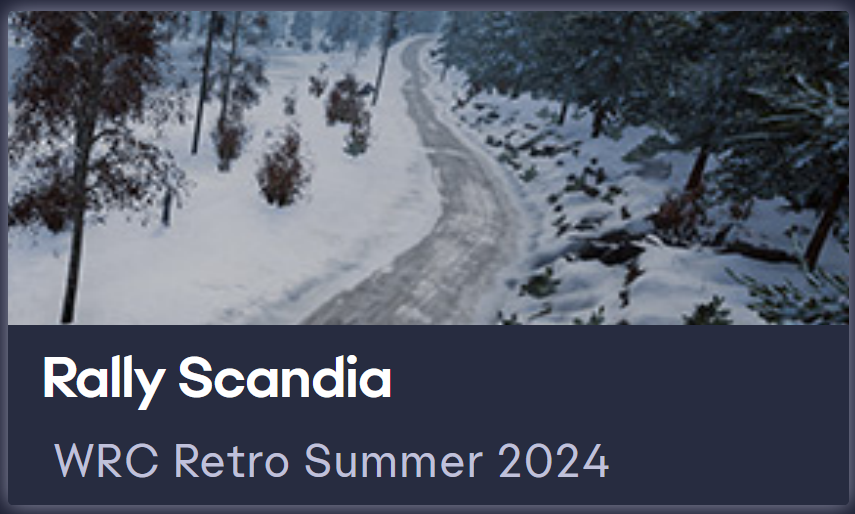 Yoklmn WRC Retro Summer 2024