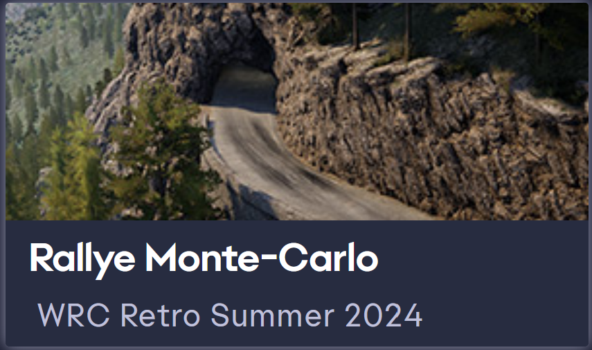 Yoklmn WRC Retro Summer 2024