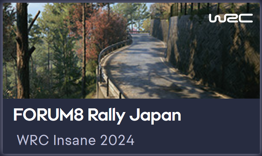 Yoklmn WRC Insane 2024