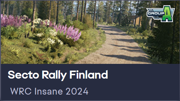 Yoklmn WRC Insane 2024