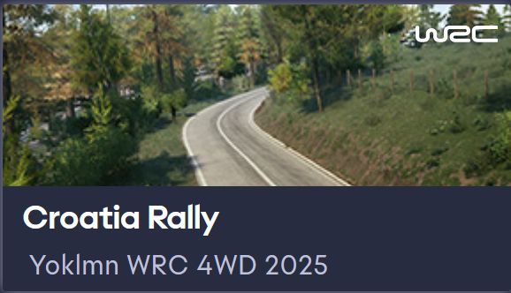 Yoklmn WRC 4WD 2025